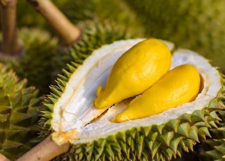 Gambar buah durian