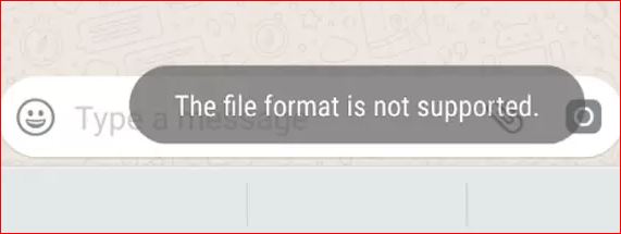 The file format is not supported