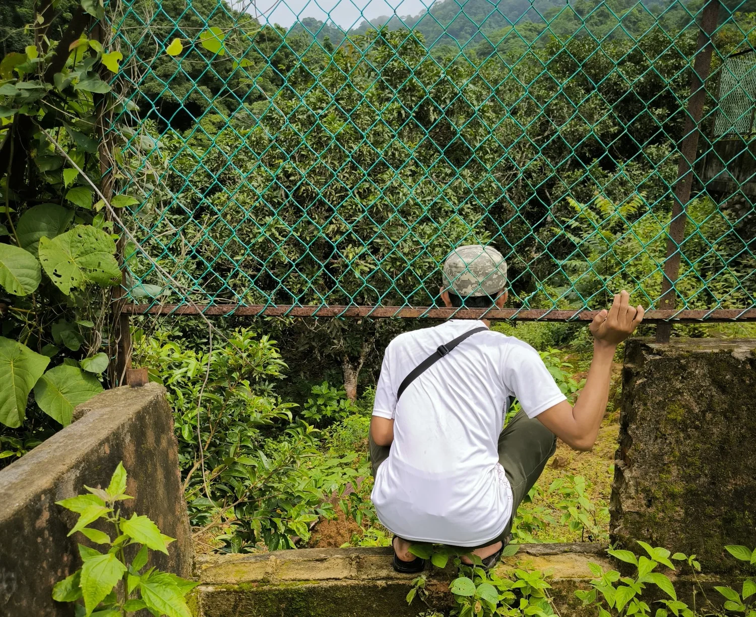 Konservasi Rusa Bawean di Pudakit Barat yang Rusak Akibat Gempa - Masdzikry.com
