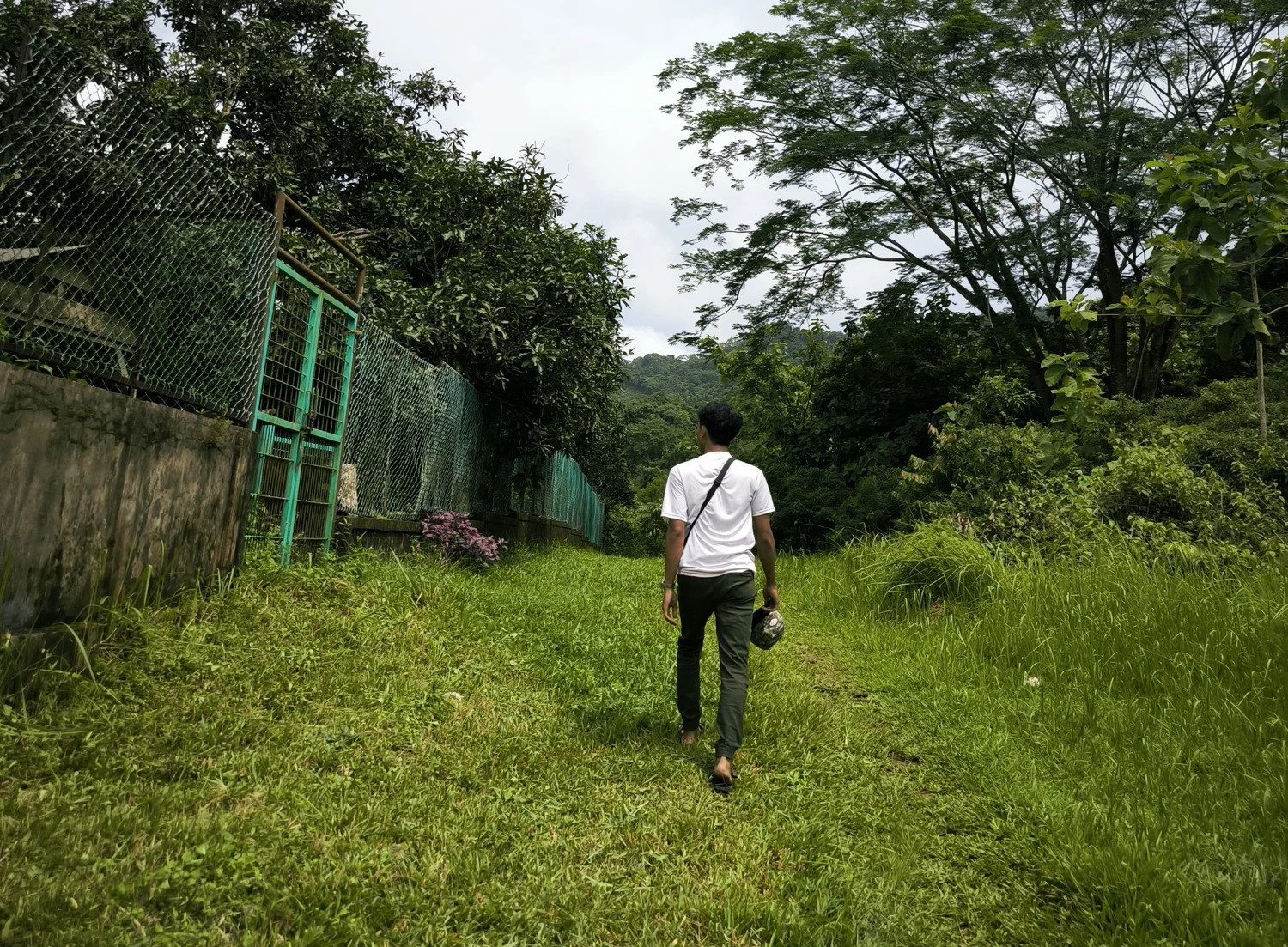Konservasi Rusa Bawean di Pudakit Barat yang Rusak Akibat Gempa